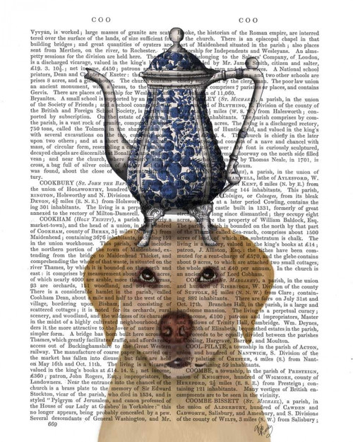 Stampa su tela Poster Fab Funky Labrador con teiera Stravagante Verticale